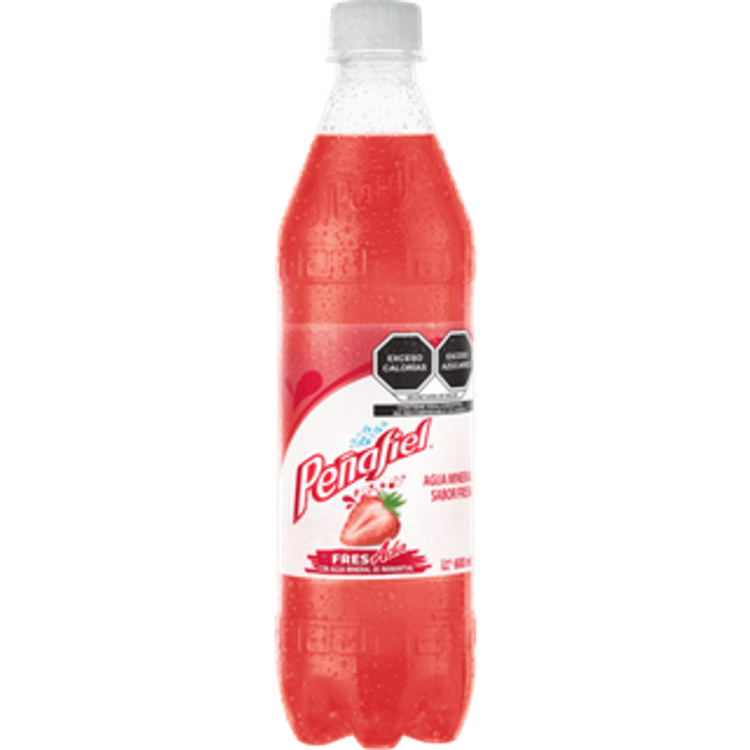 Peñafiel Strawberry Flavor Mineral Water 20 oz