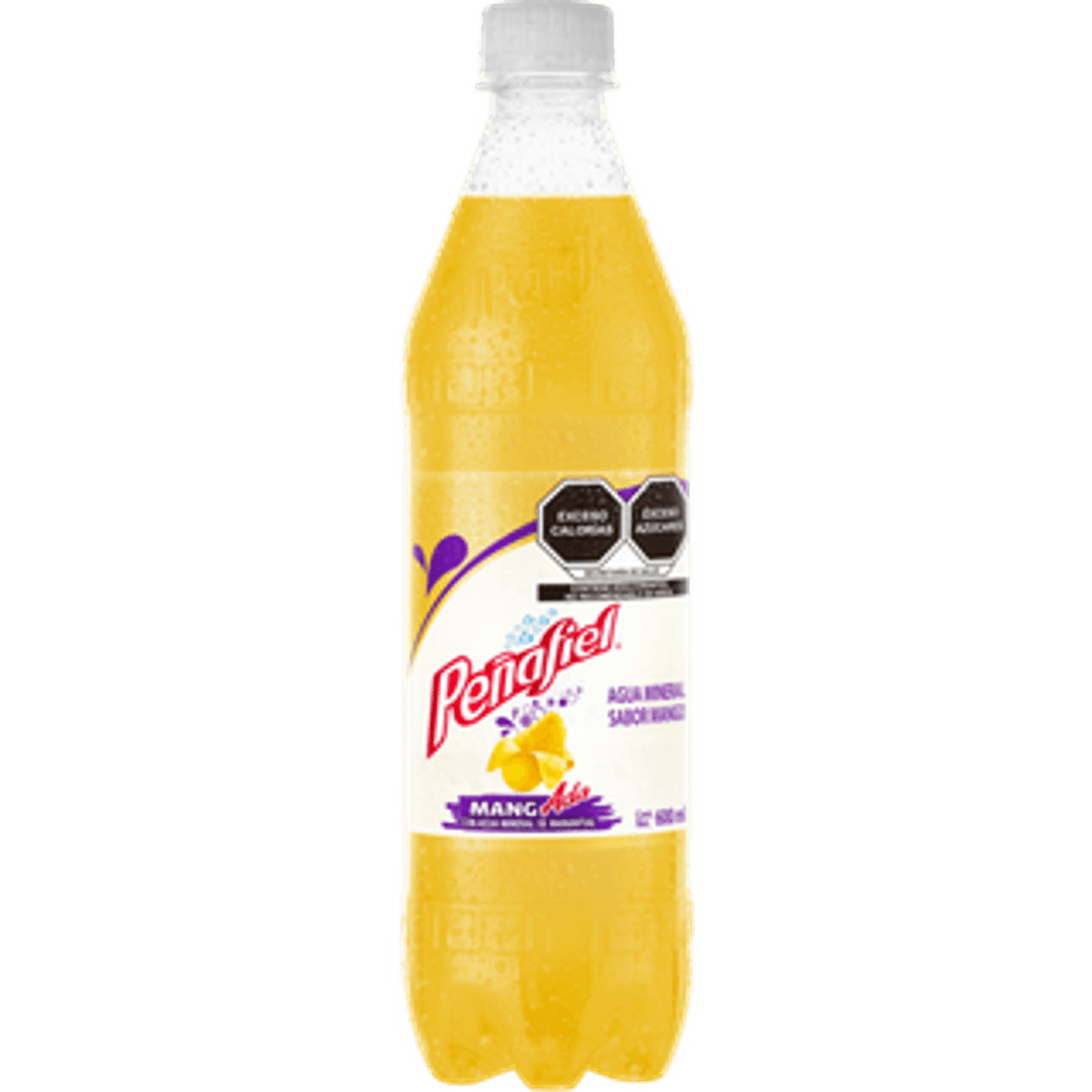 Peñafiel Mango Flavor Mineral Water 20 oz