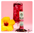 Salud Hydration + Immunity Drink Mix Stick Packs - Hibiscus