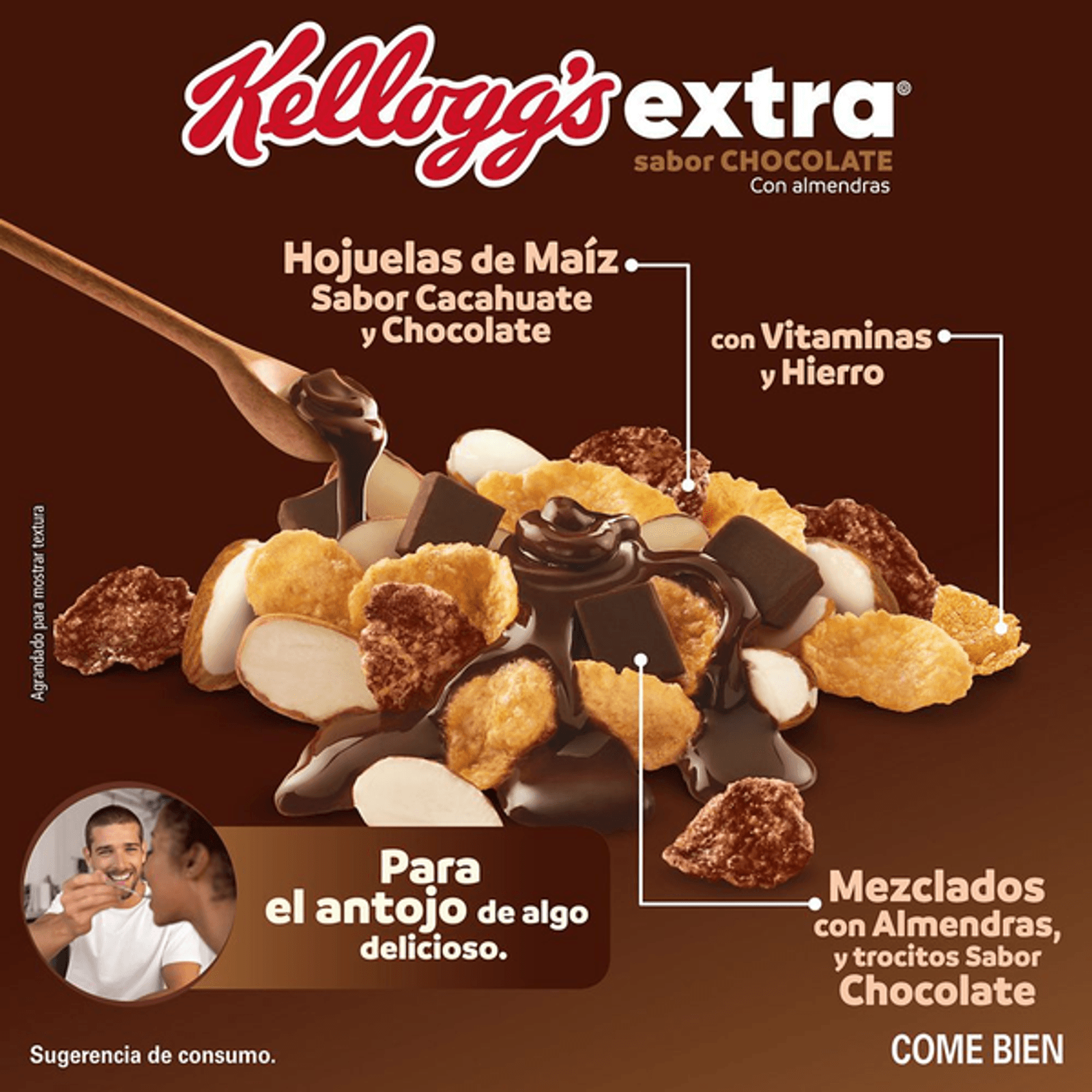 Kellogg's Extra Chocolate Cereal 17 oz