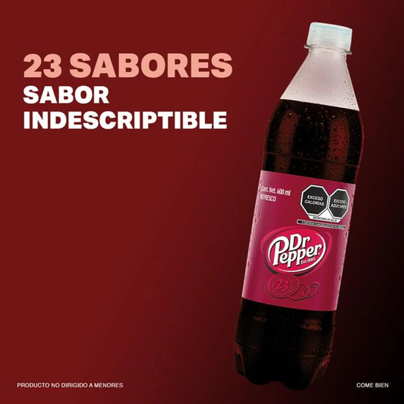 Dr. Pepper Regular Soda 20 oz