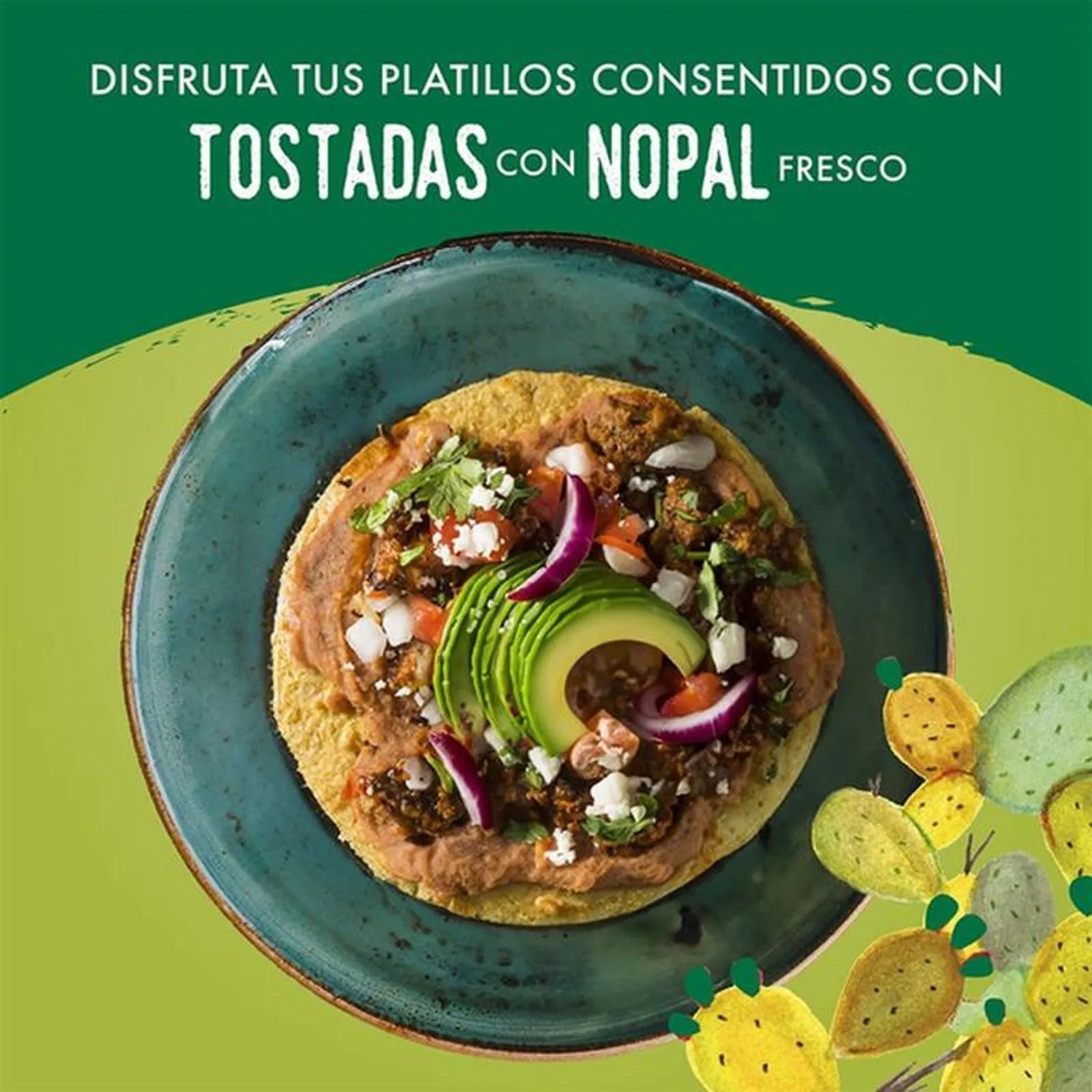 senor cactus Señor Cactus Nopal Cactus Toasts 7.1 oz – El Sabor Market