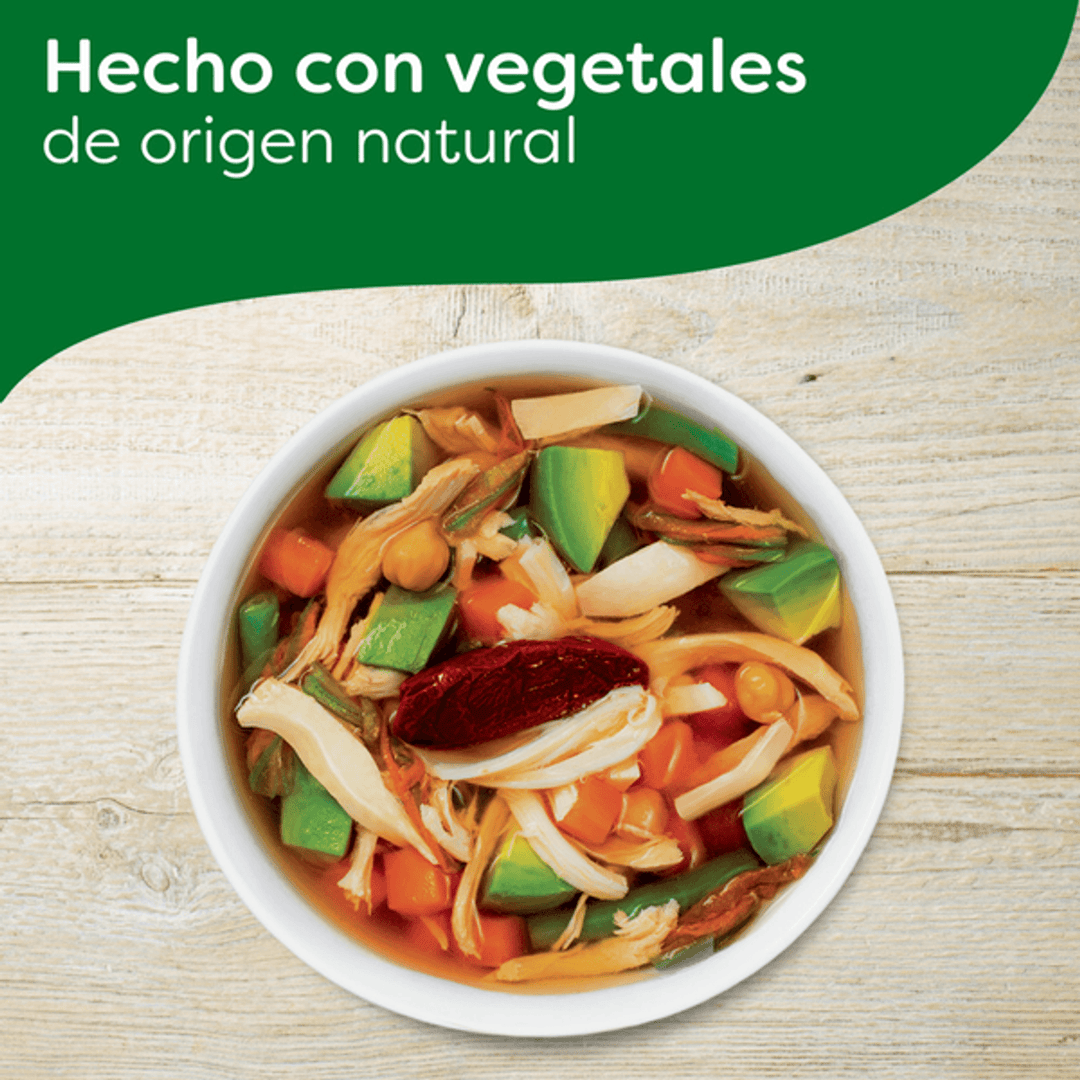 Knorr Chicken Broth Powder 26 oz