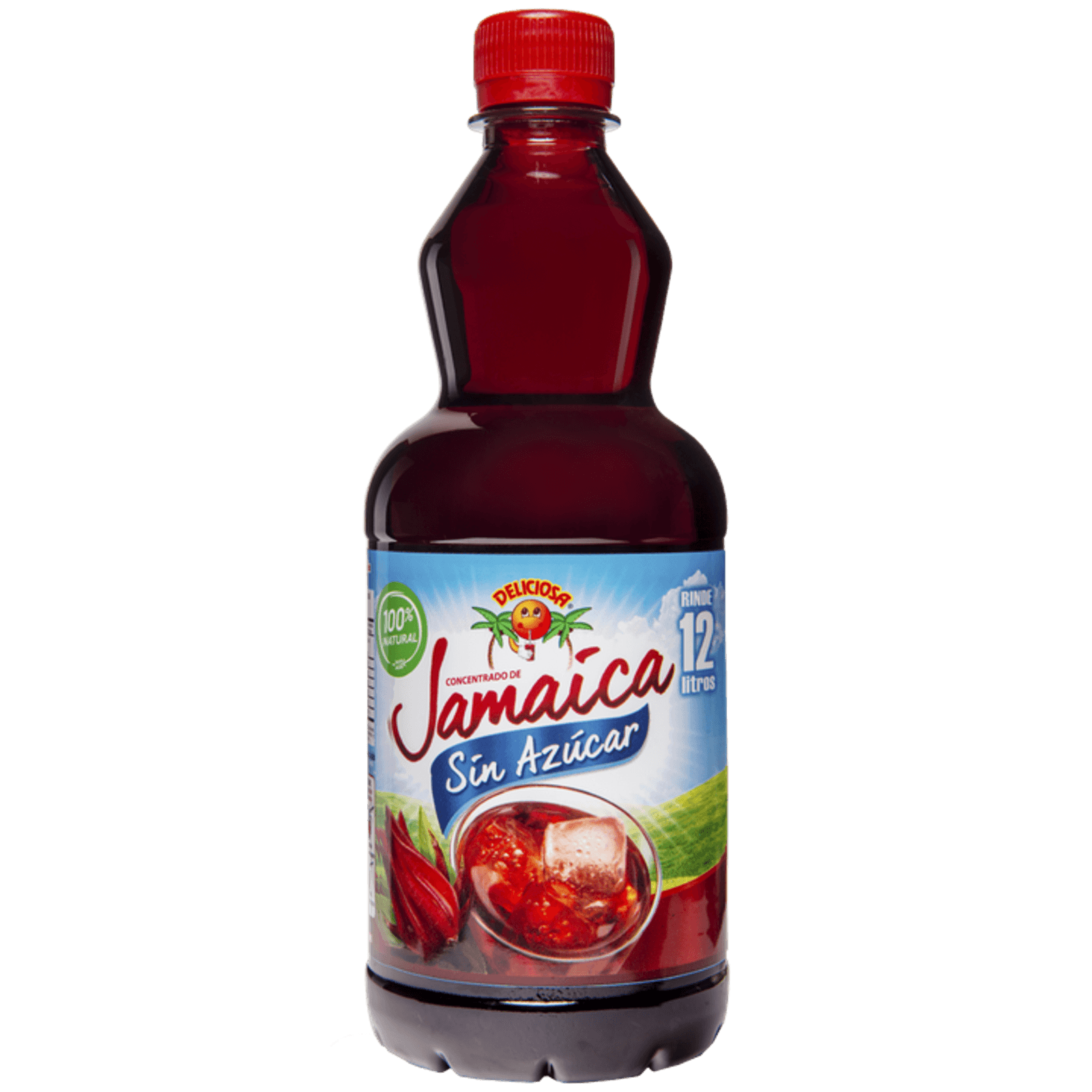 Deliciosa Sugar-Free Jamaica Concentrate 24 oz