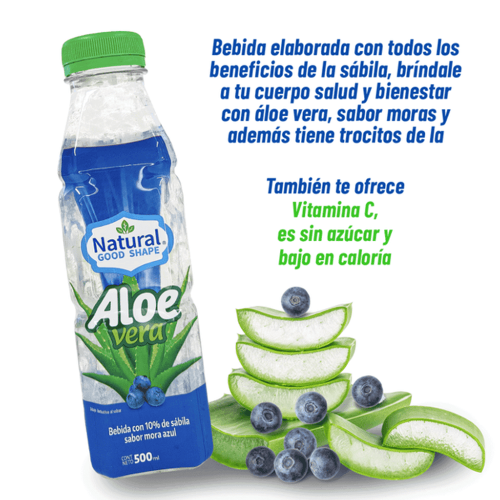 Natural Good Shape Blueberry Flavor Aloe Vera Drink 17 oz