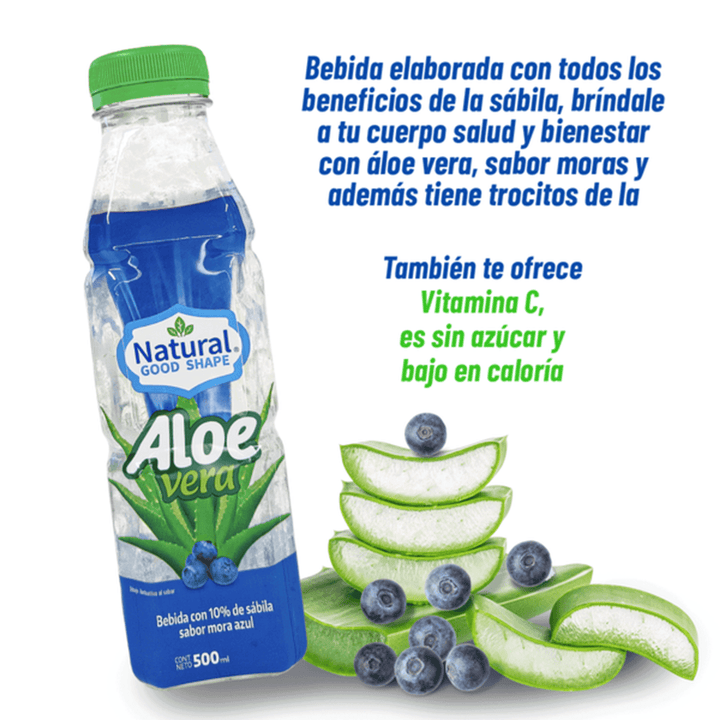 Natural Good Shape Blueberry Flavor Aloe Vera Drink 17 oz