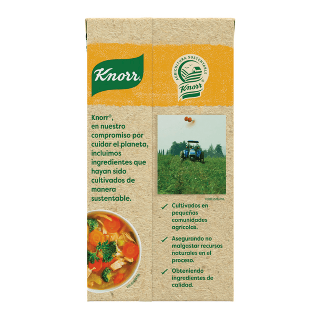 Knorr 100% Natural Chicken Broth 17 oz