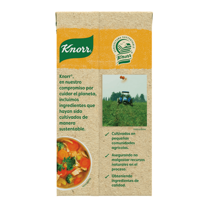 Knorr 100% Natural Chicken Broth 17 oz